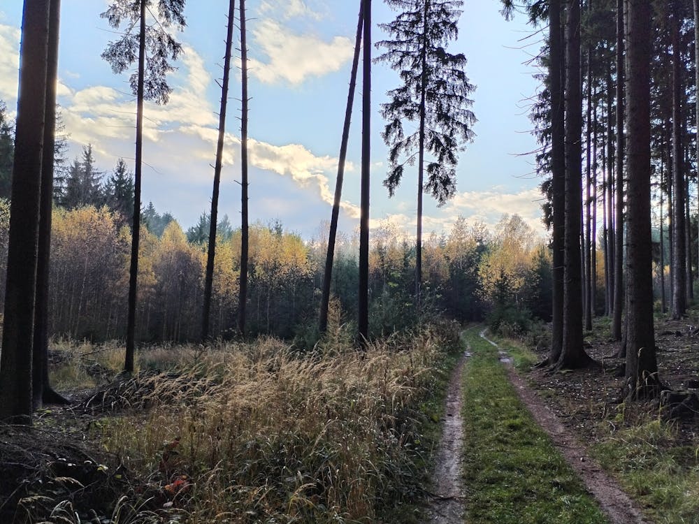Img 20231112 145037