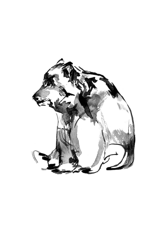 Sitting Bear