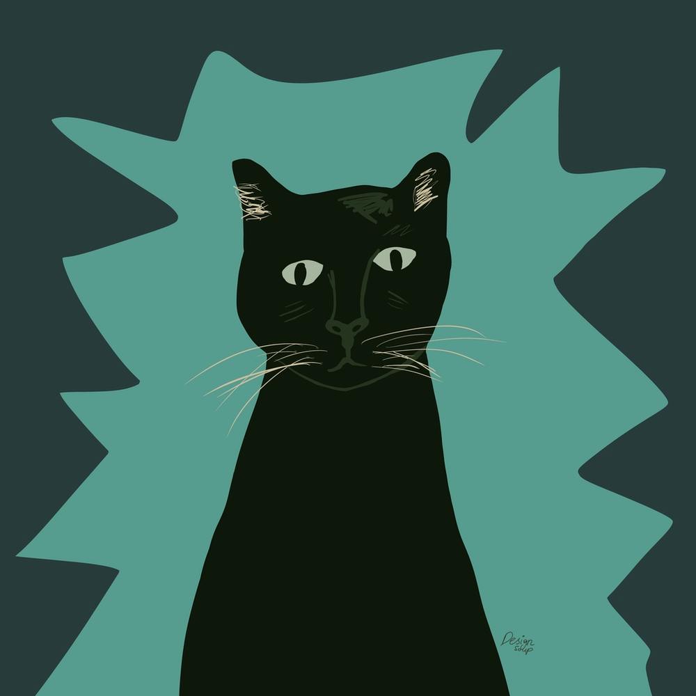 A Black Cat called Kala