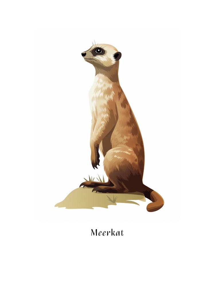 Erdmännchen Kinder Tier Poster