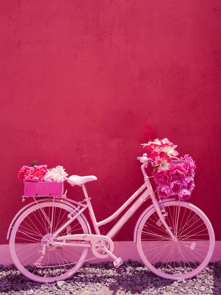 Bali Bike