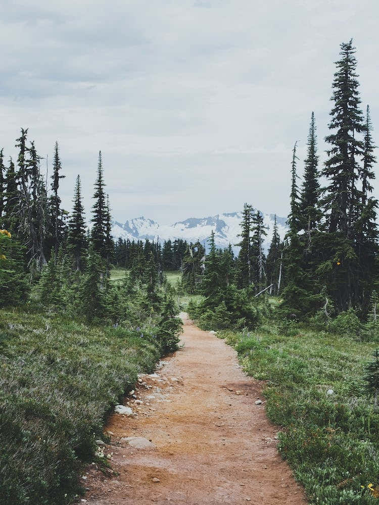 Garibaldi Park Bc VII