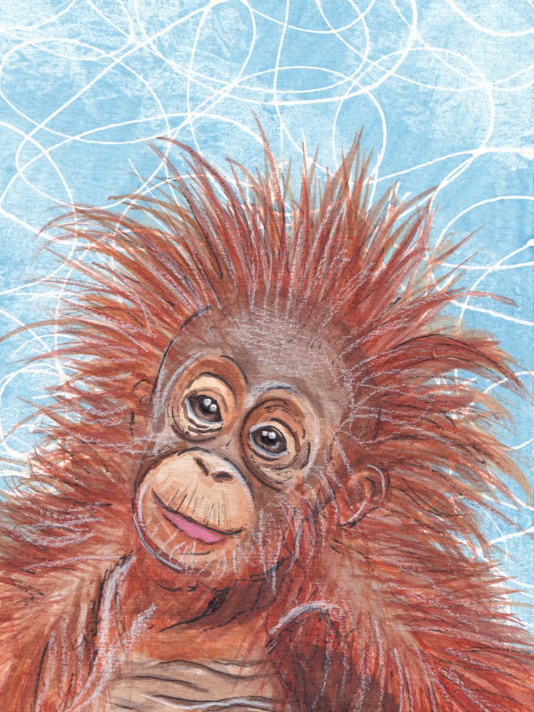 Orangutan