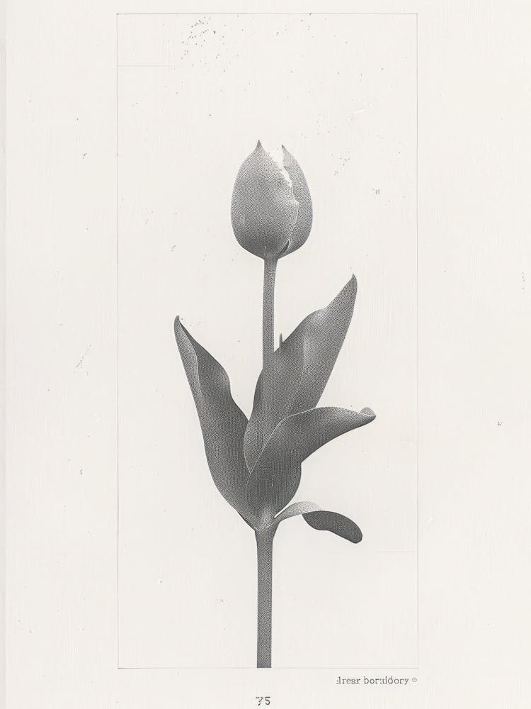 Tulip Flower Photo Collage 1