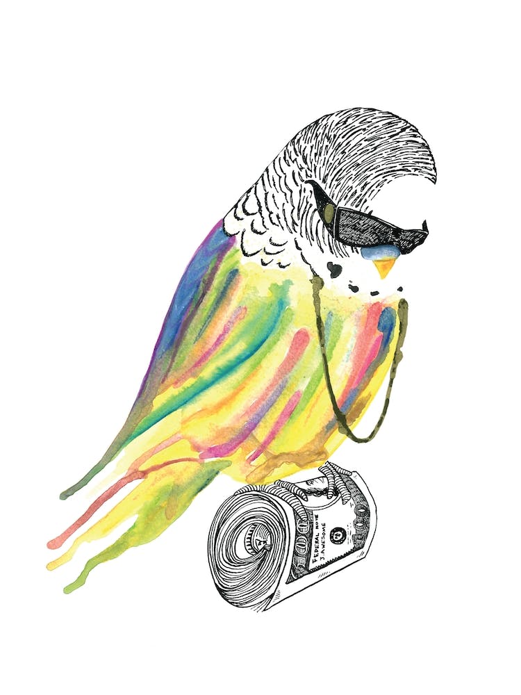 Budgie Smalls