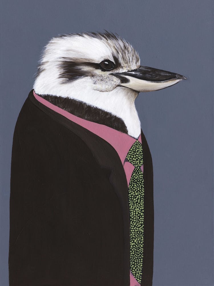 Kookaburra In Suit