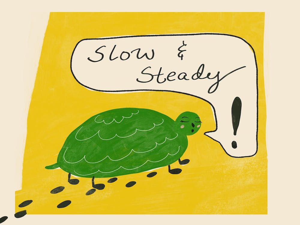 Slow & Steady