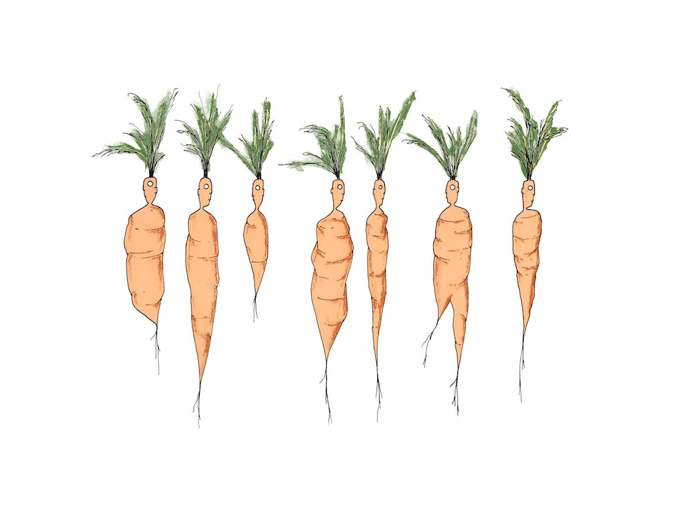 Carrot Men