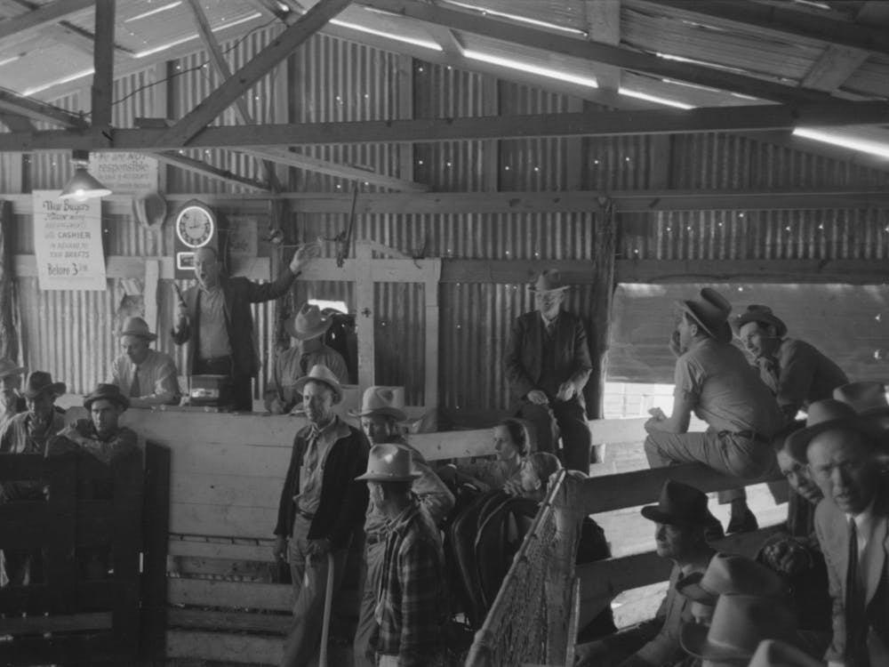 Untitled Photo, Possibly Related To Auctioning A Horse At West Texas Stockyards, San Angelo, Texas By