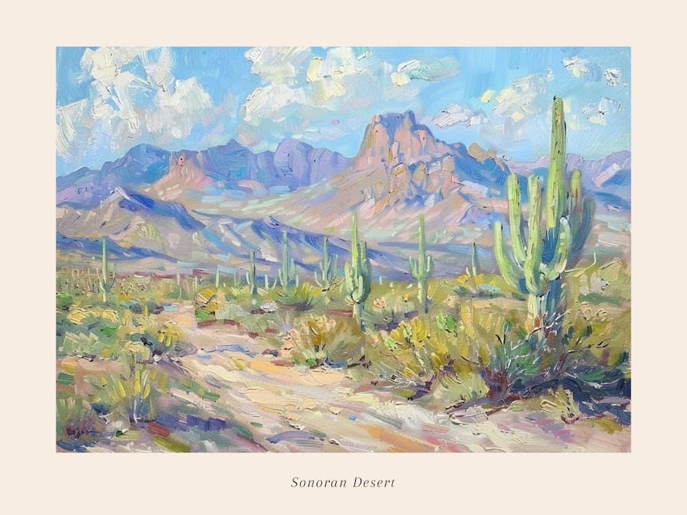 Western Landscapes Sonoran Desert Arizona 2 Poster