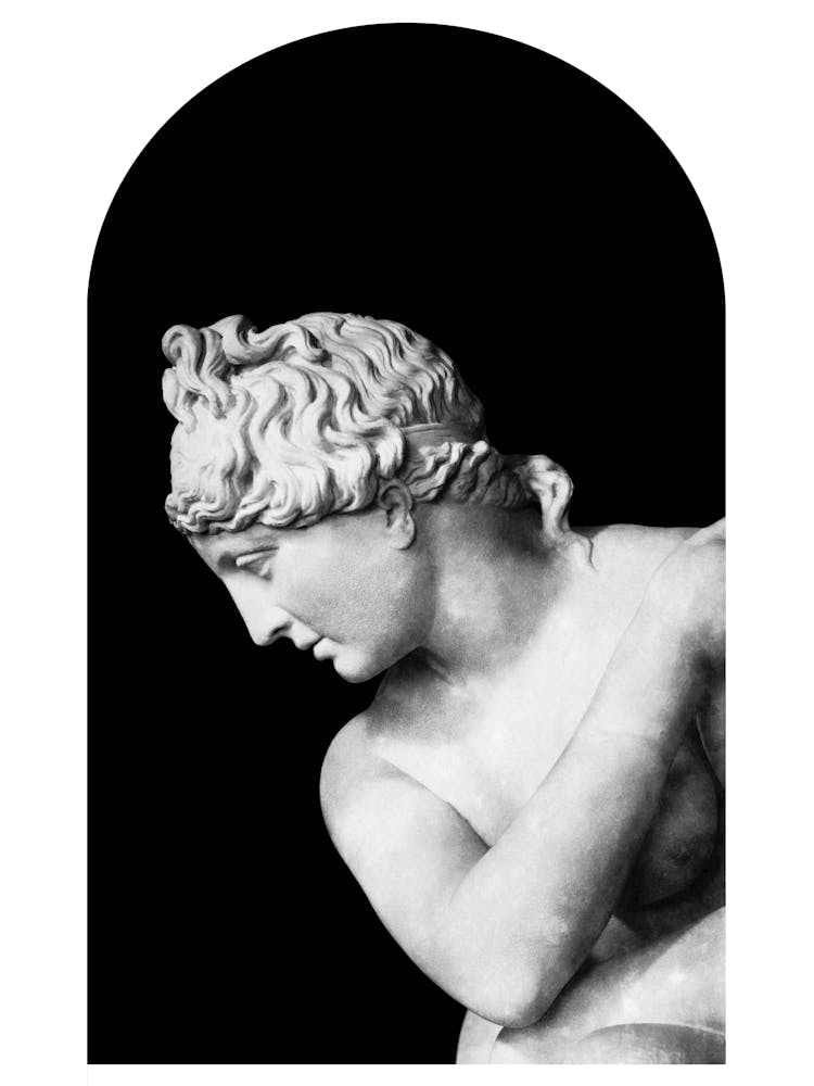 Bust Of Aphrodite