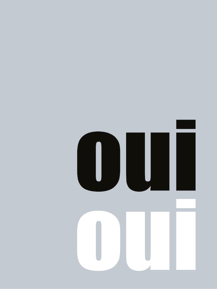 Grey Monochrome ‘Oui Oui’ Bathroom