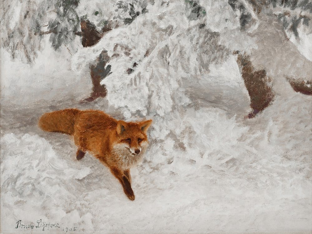Red Fox In The Snow Painting