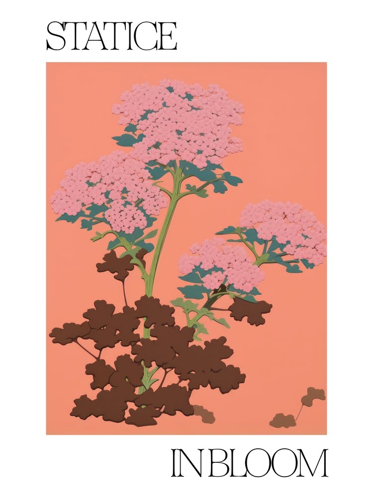 Statice In Bloom Flowers Bold Illustration 2