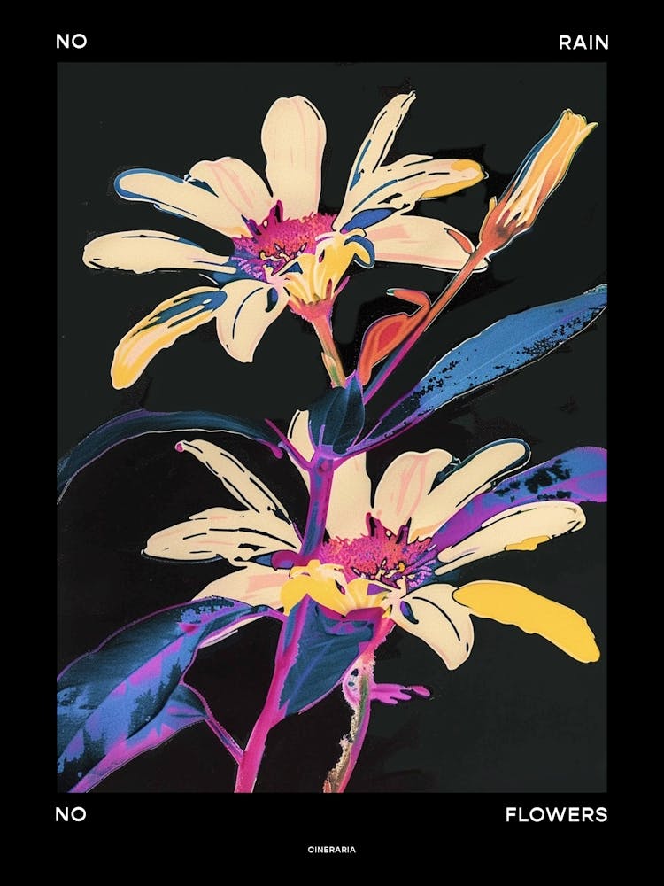 No Rain No Flowers Poster Cineraria 2