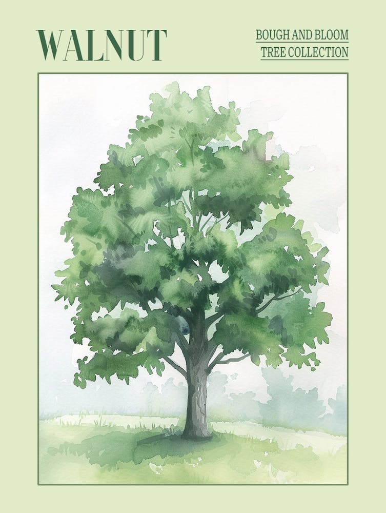 Walnut Tree Atmospheric Watercolour Painting 2 Poster