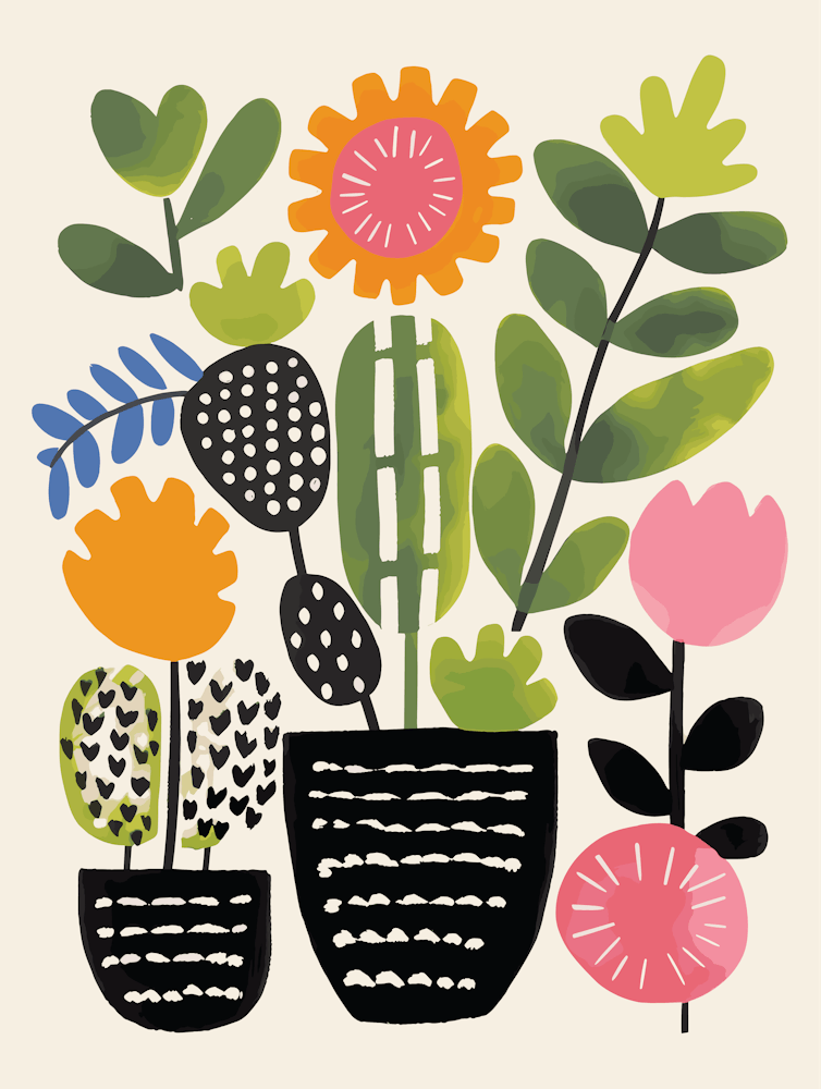 Cactus Garden 1