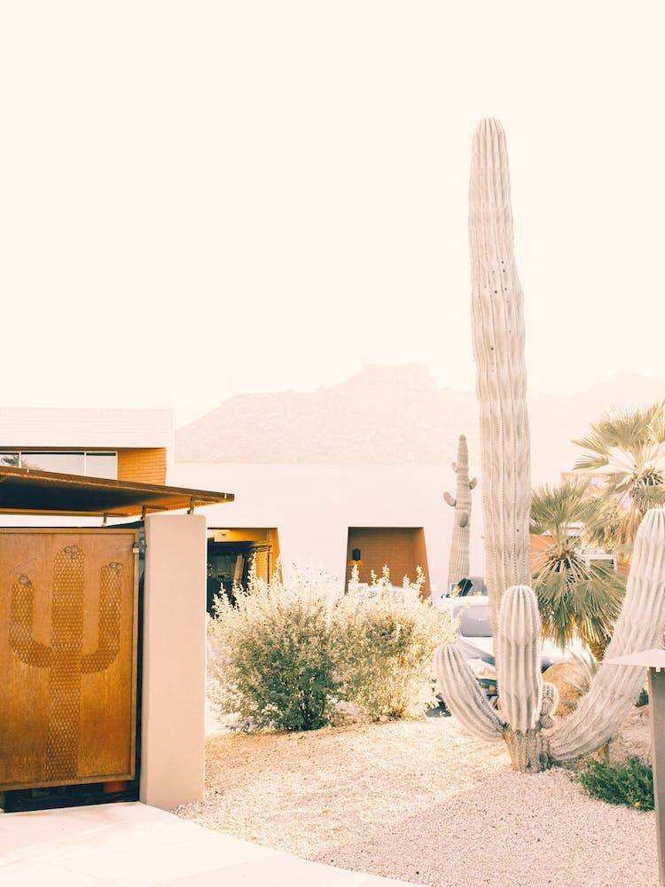 Palm Springs Home