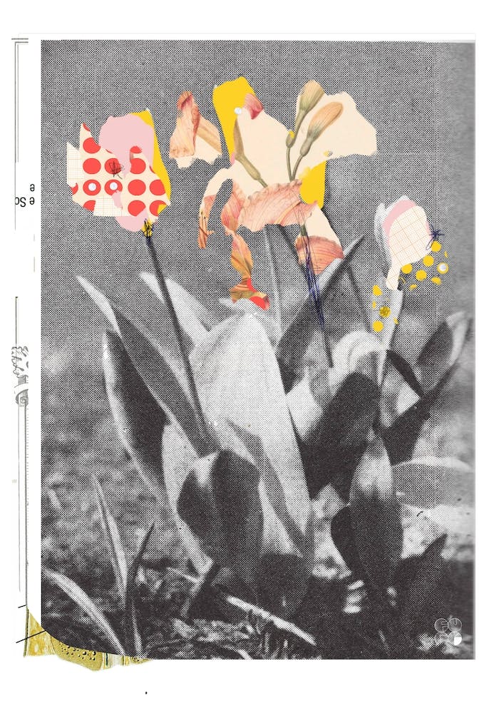 Flowers Still Life, Happy Abstraction 4
