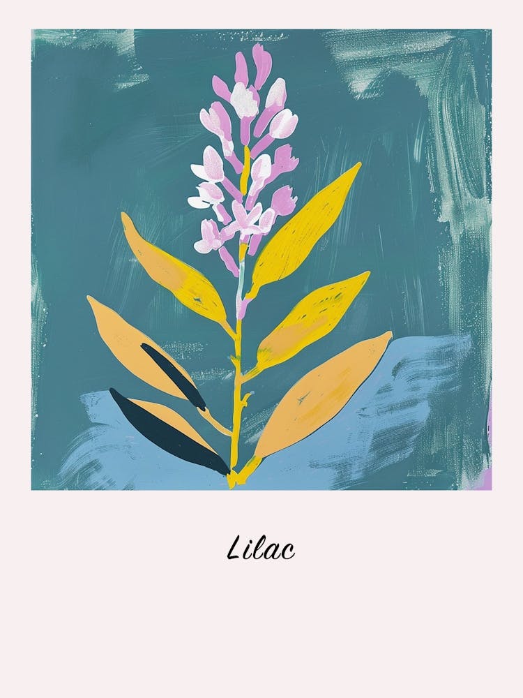 Lilac 3 Square Flower Illustration Poster