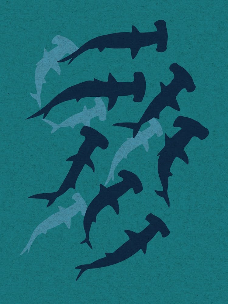 Hammerhead Shark Green