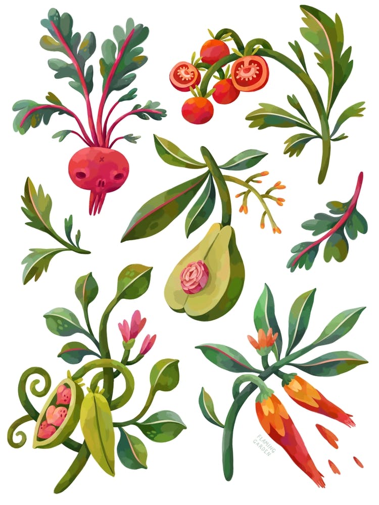 Odd Vegetables