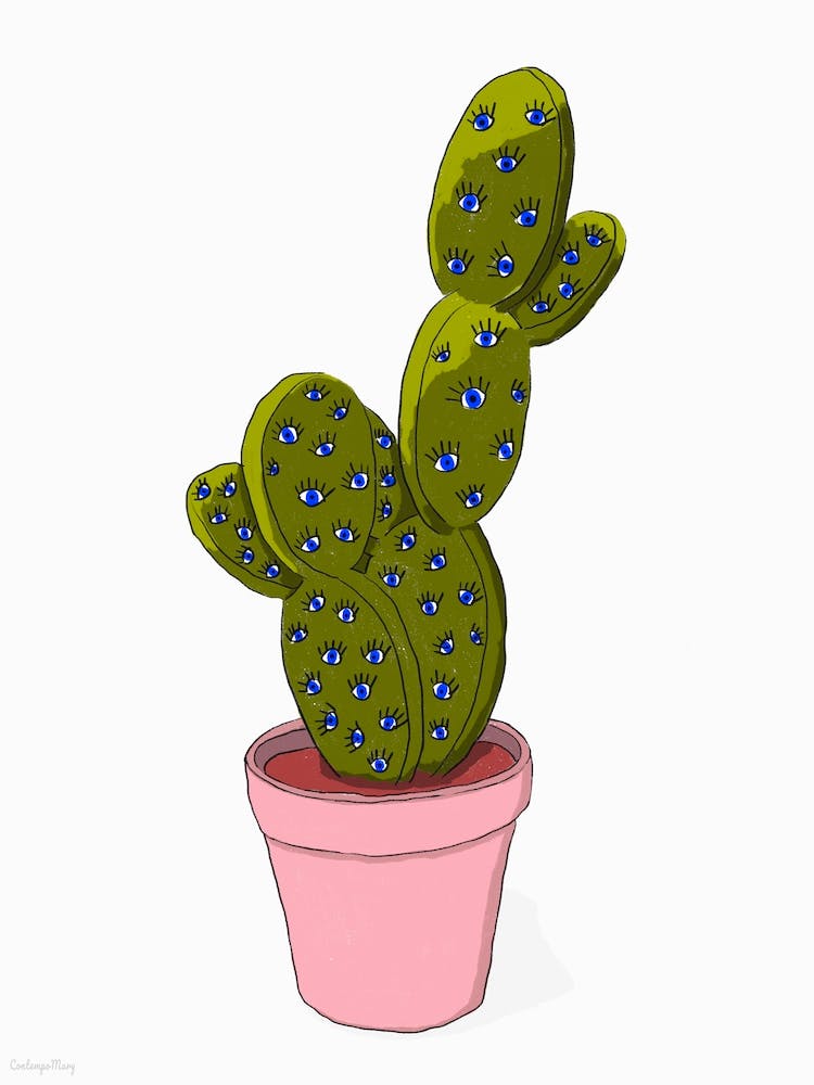 Blue Eye Cactus