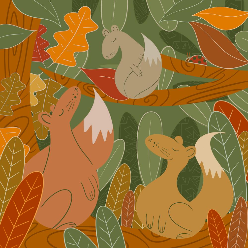 Squirrels In The Forest 1