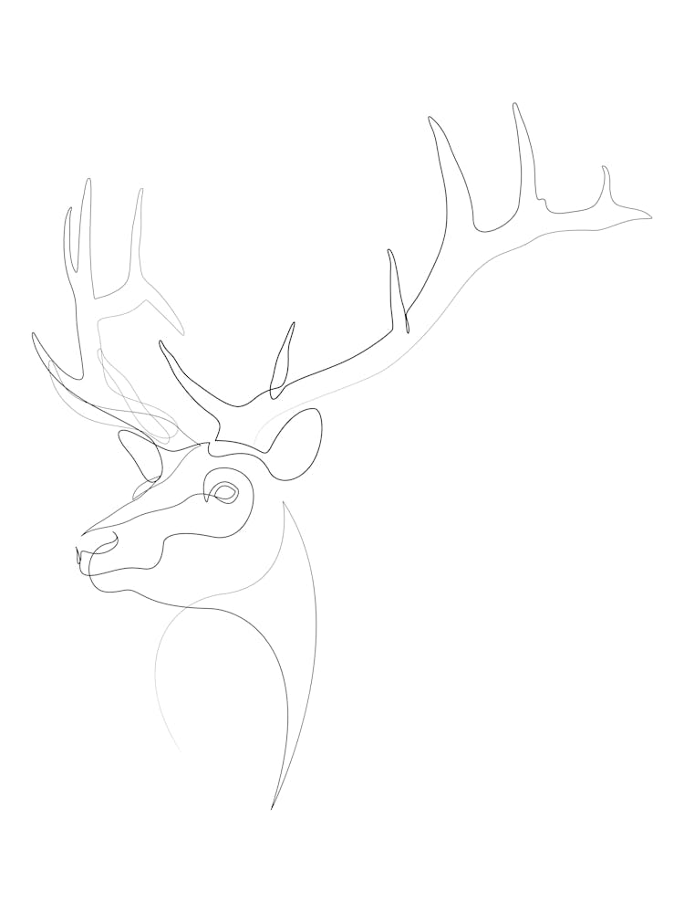 Antler