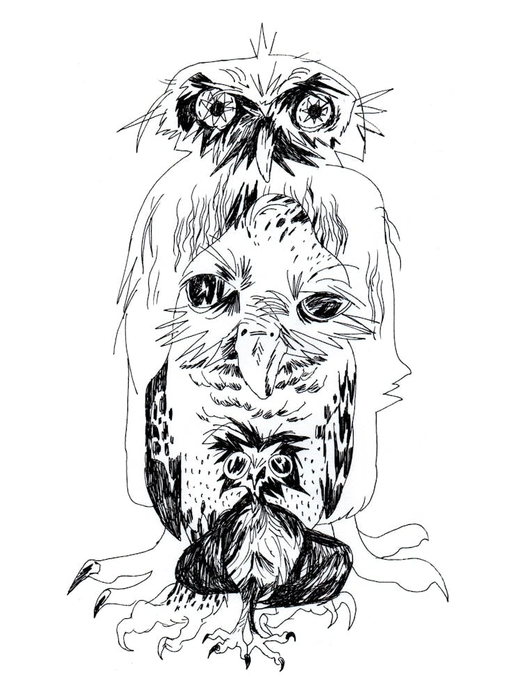 Three sleepy owls