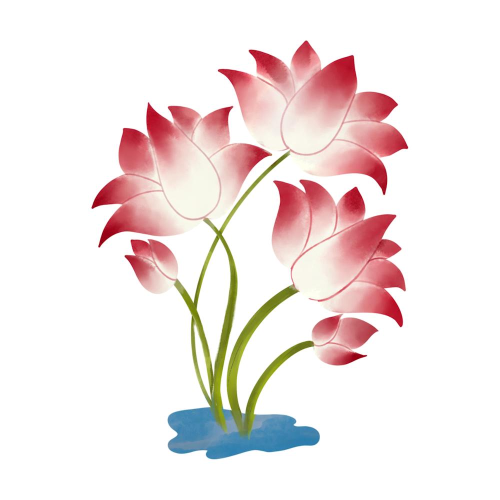 Lotus Flower 56