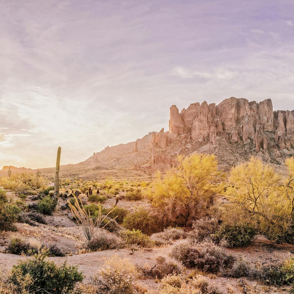 Superstition Mountain Desert