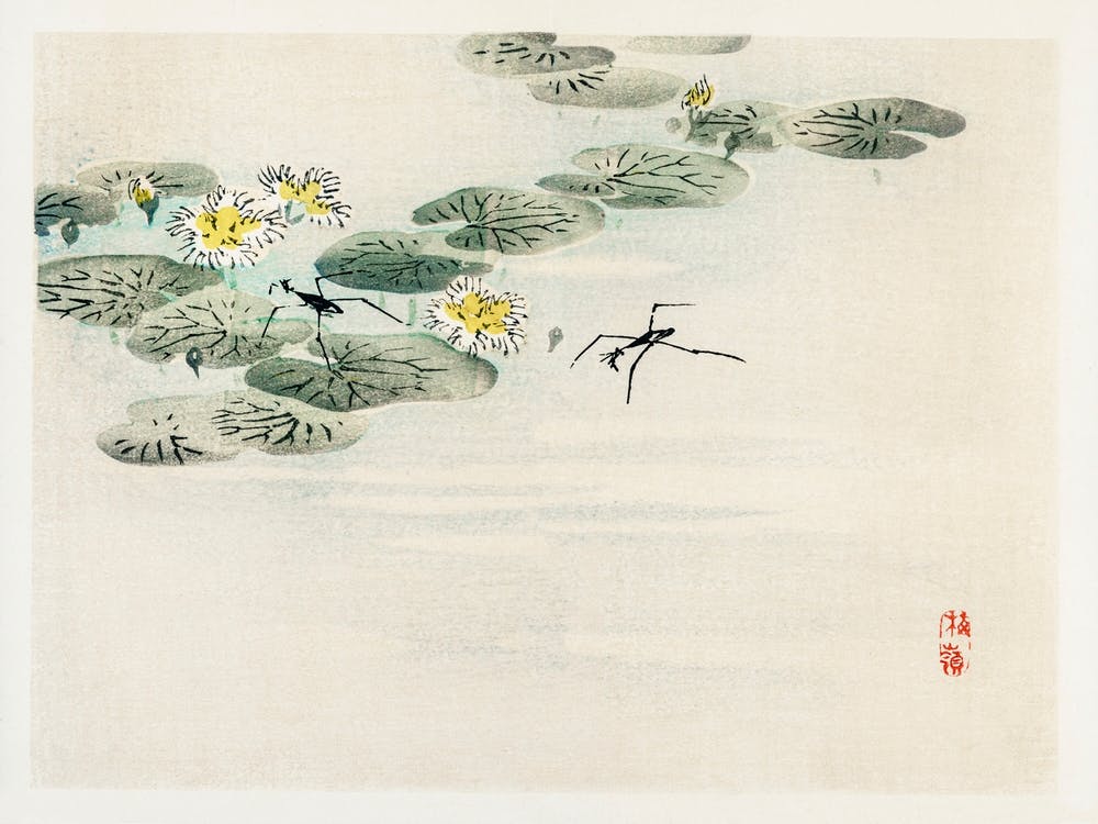 Water Striders In A Lotus Pond, Kōno Bairei