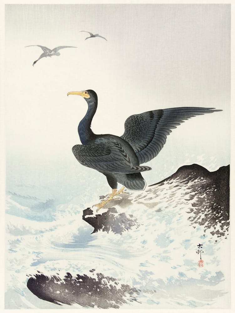 Red Mask Cormorant On Rock (1900 1936), Ohara Koson
