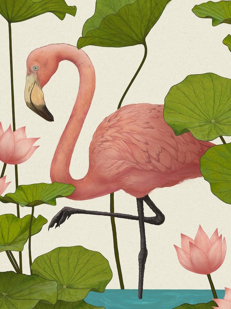 Flamingo V