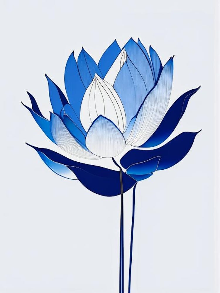 Blue Lotus Abstract Line Drawing 1