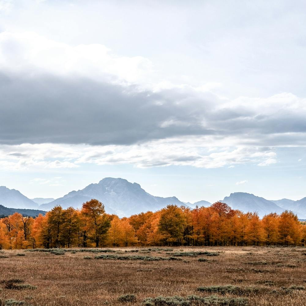 Autumn