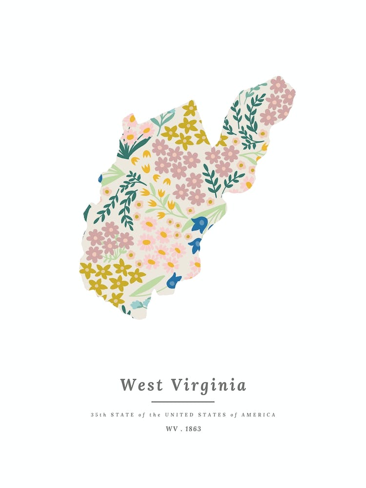 West Virginia | Wildflower Mix