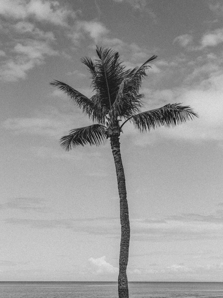 Hawaii 1