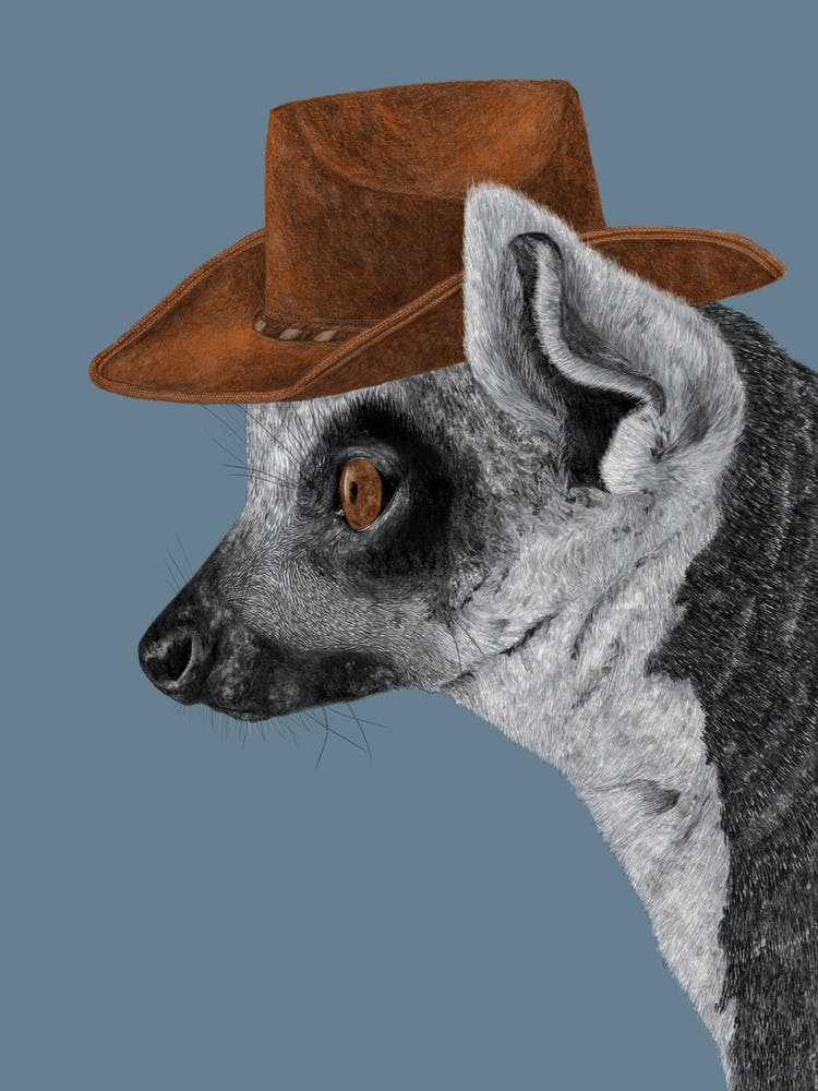 Felix The Cowboy Lemur 1