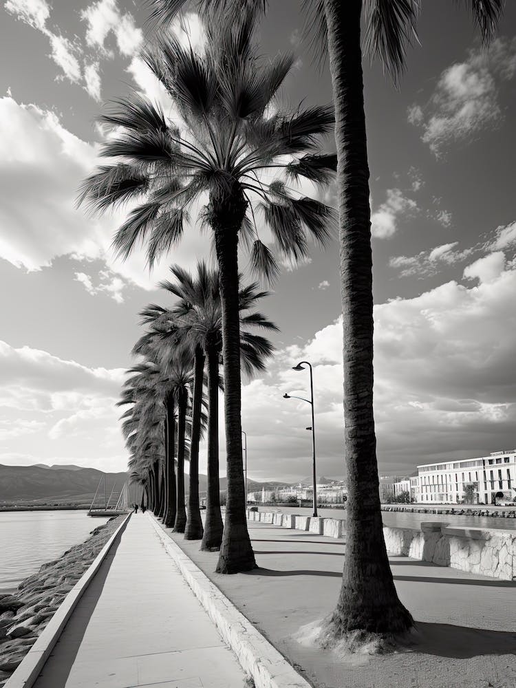 Palma De Mallorca, Spanien, Fotografie in Schwarz-Weiß 3