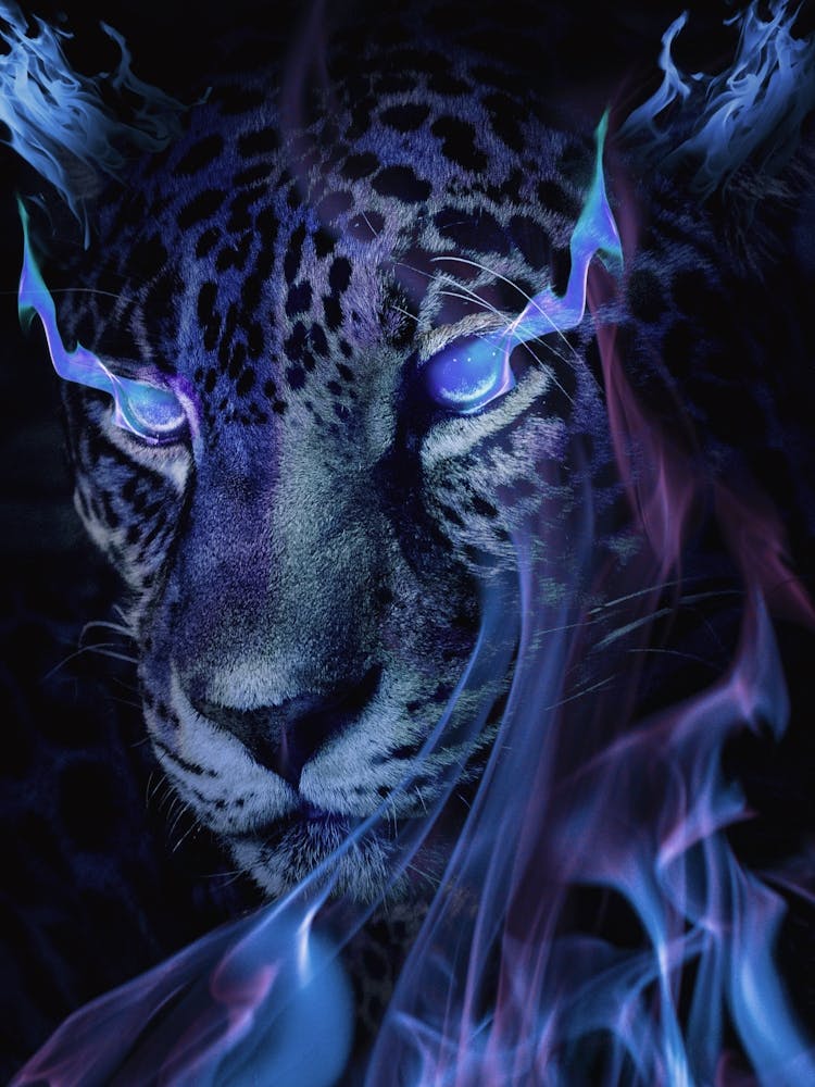 Mystical Tiger Darkness