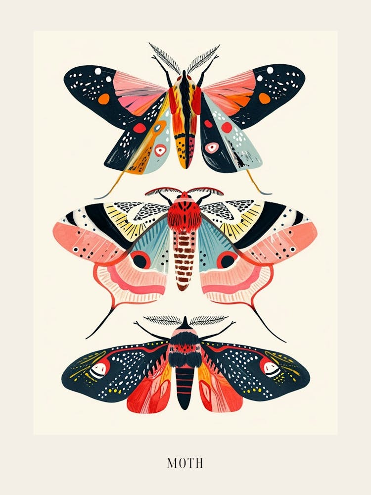 Colourful Insect Illustration Moth 58 Poster