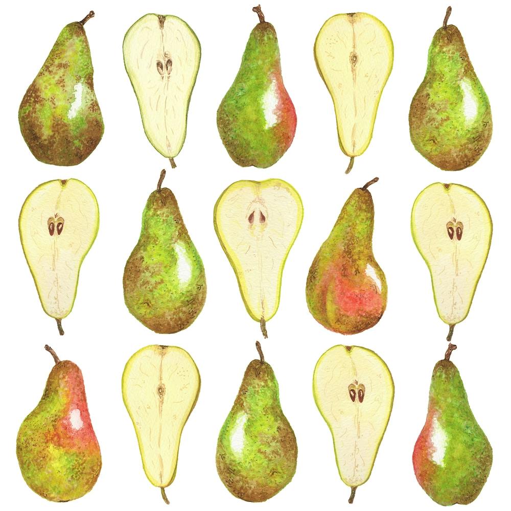 Repeat Pattern Pear Square