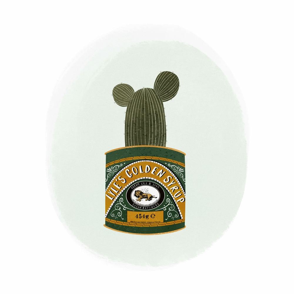 Golden Syrup Planter Square