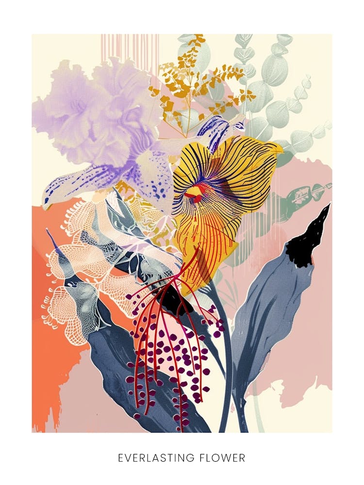 Colourful Flower Illustration Poster Everlasting Flower 4