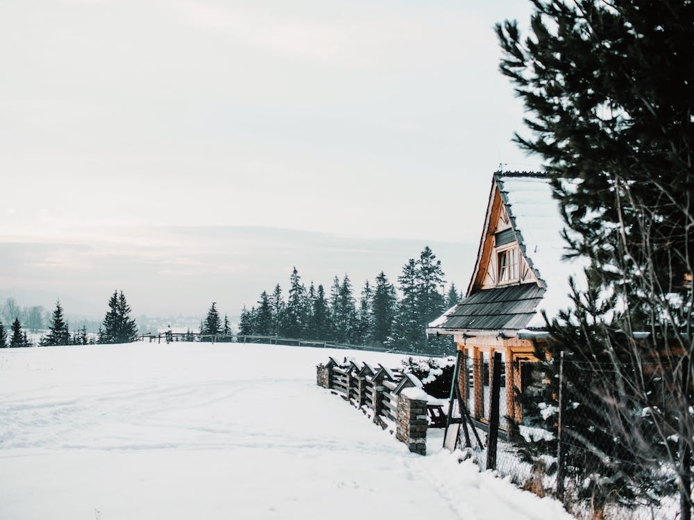 Cabane hivernale d'Alaska