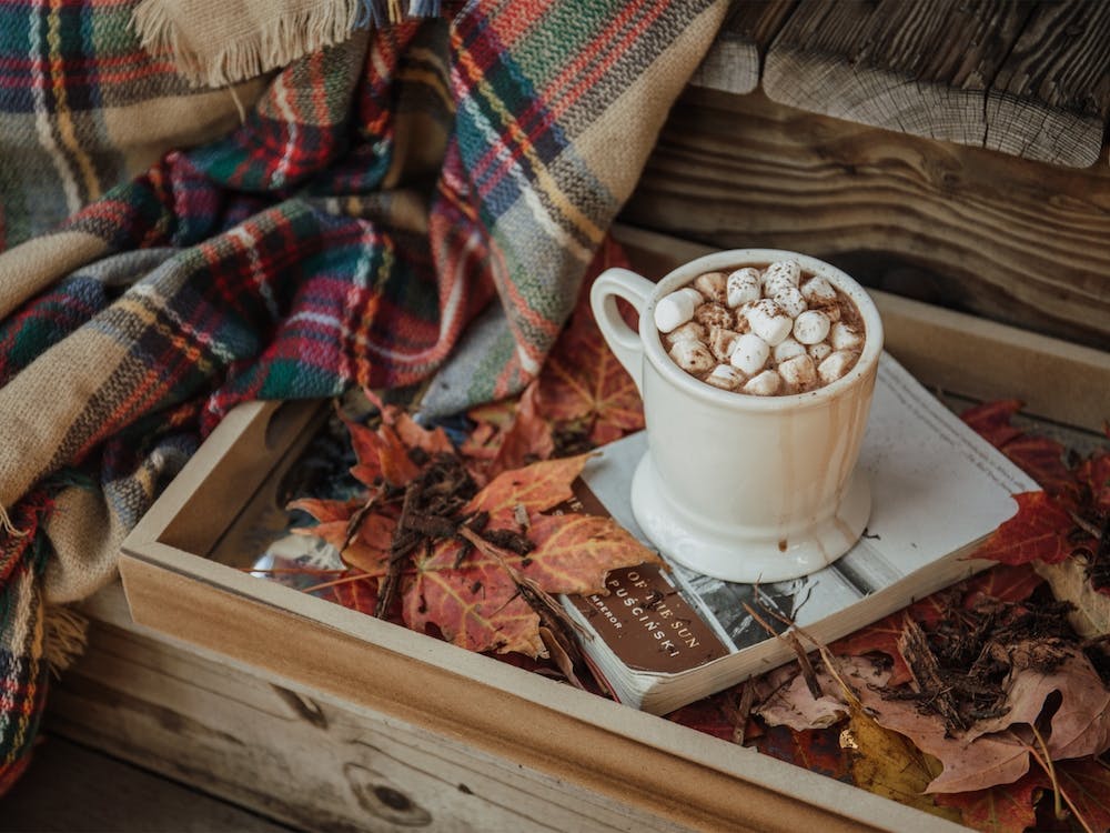 Cozy Autumn Morning