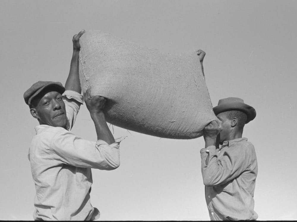 Workers Hefting A Bag Of Rice, Crowley, Louisiana By Russell Lee
