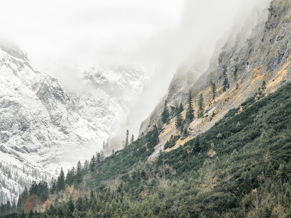 Forest Climbing Mountain
